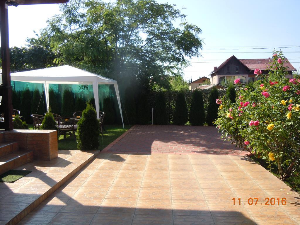 Pensiunea Marina Cîmpina Dış mekan fotoğraf