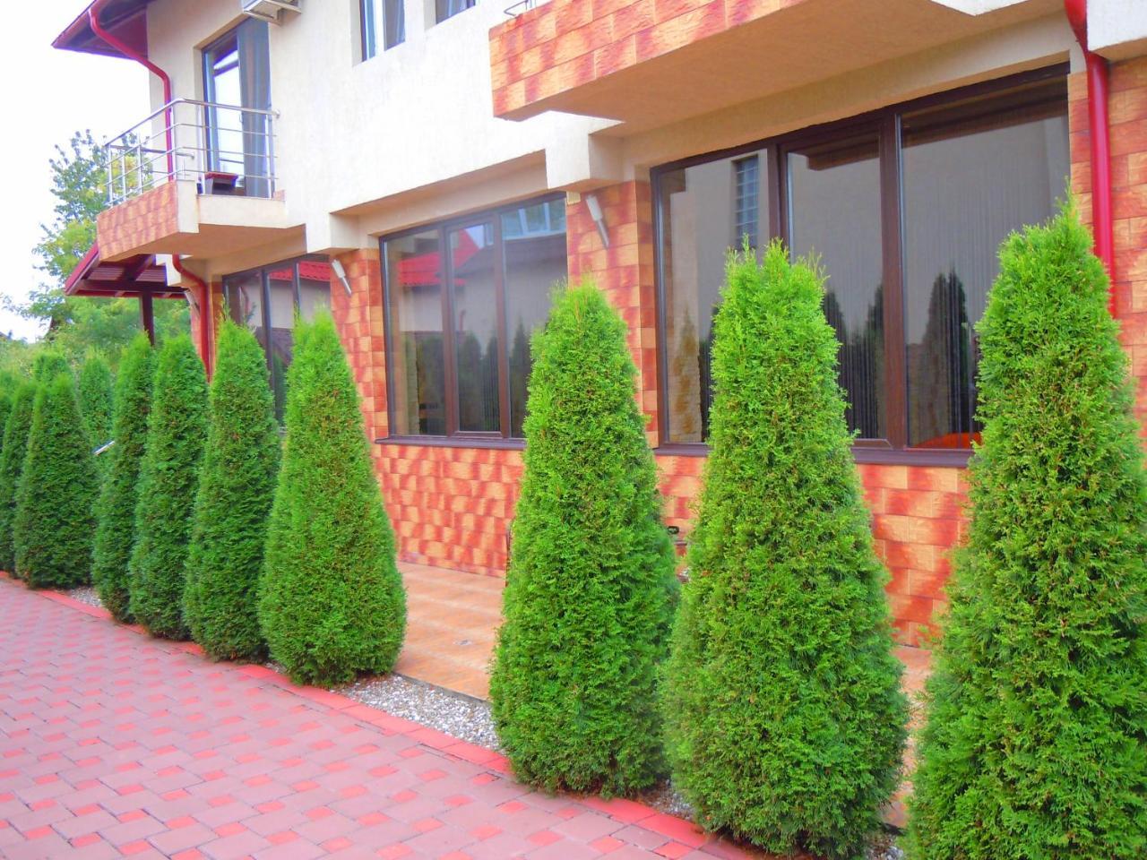 Pensiunea Marina Cîmpina Dış mekan fotoğraf